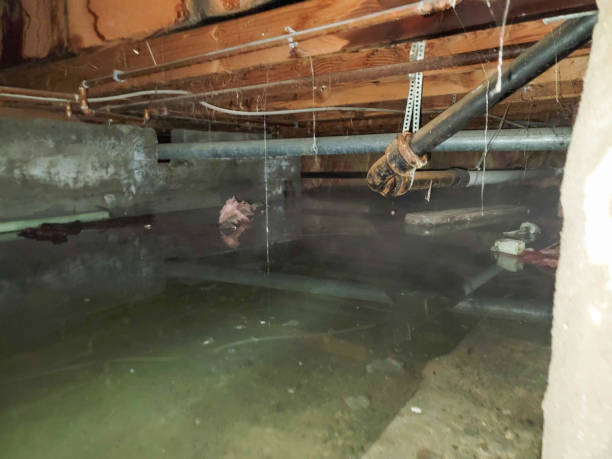 Best Water damage restoration process  in Claymont, DE
