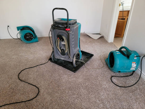 Best Water damage restoration mold remediation  in Claymont, DE