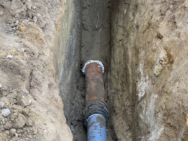 Best Flood damage cleanup  in Claymont, DE