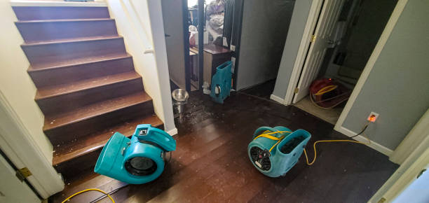 Best Basement water damage restoration  in Claymont, DE