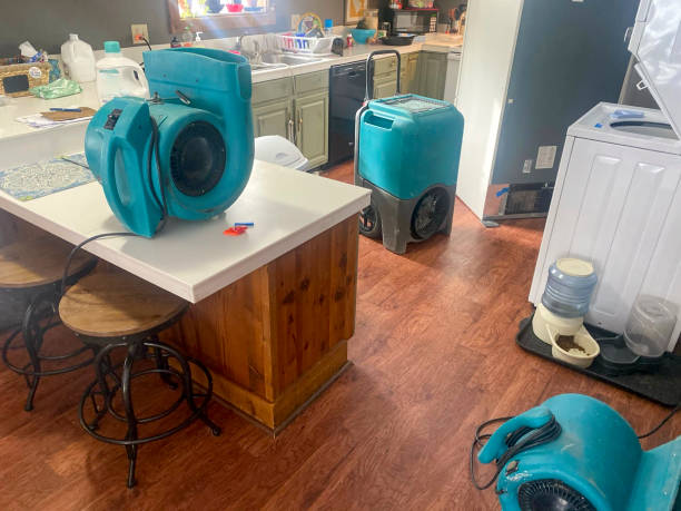 Best Water damage repair service  in Claymont, DE