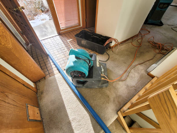 Best Flood restoration services  in Claymont, DE
