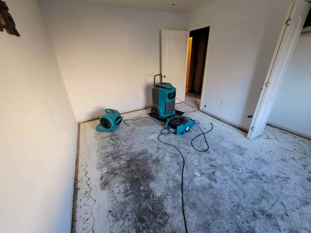 Best Ceiling water damage repair  in Claymont, DE