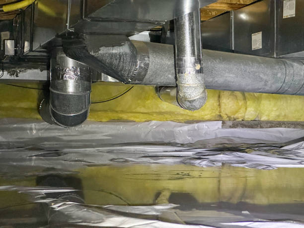 Best Mold removal after water damage  in Claymont, DE