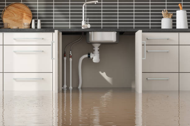 Water damage restoration insurance claims in DE